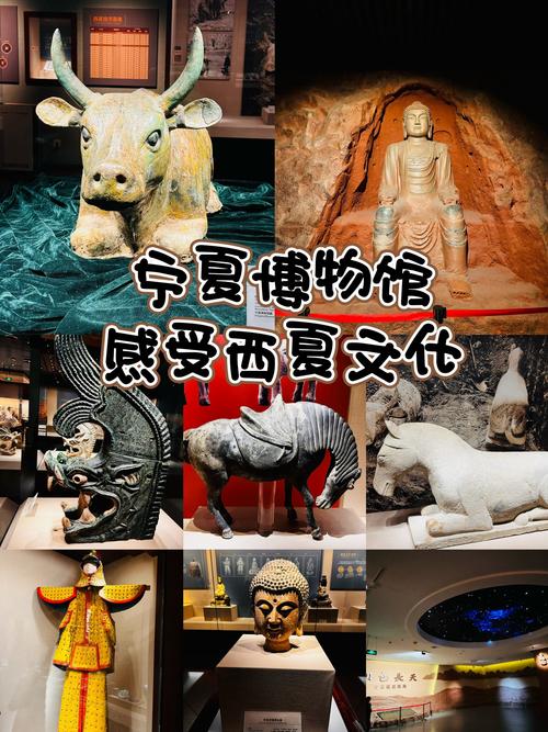 新时代中国调研行丨宁夏多举措守护“长城博物馆”