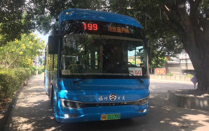 福州市区公交线路全面恢复运营
