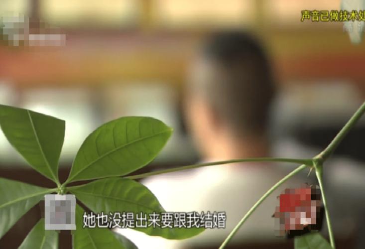 中介骗700万养情人案,受害者发声