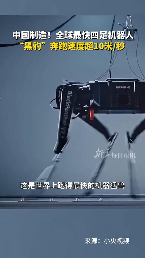 10米秒跑出“残影” 全球最快四足机器人“黑豹”来了