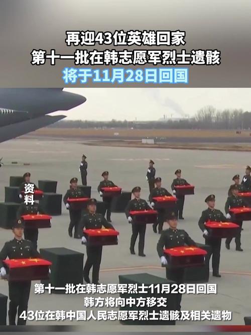 10年来从未间断!回顾在韩中国人民志愿军烈士遗骸回家路