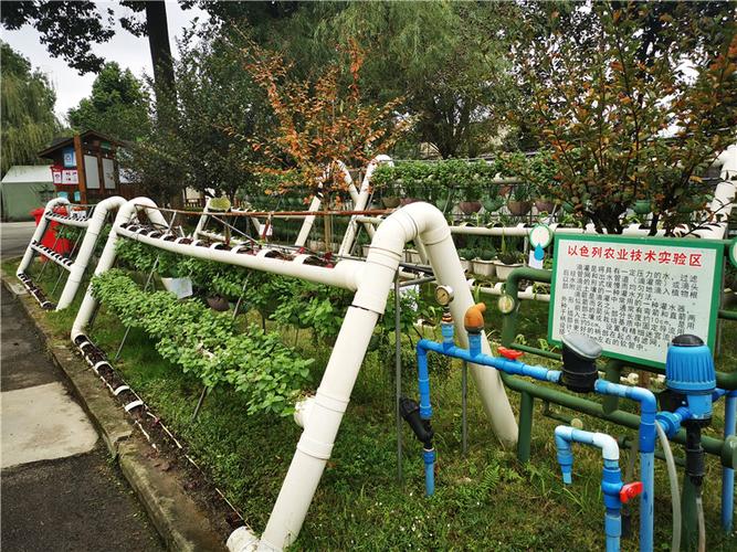 丰台启动绿色校园碳普惠项目,首批覆盖8所学校