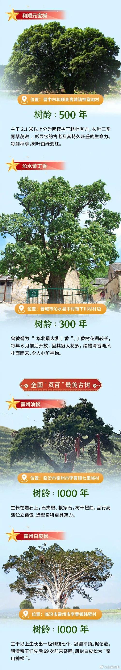 我国将遴选“国保单位·古树名木”名录