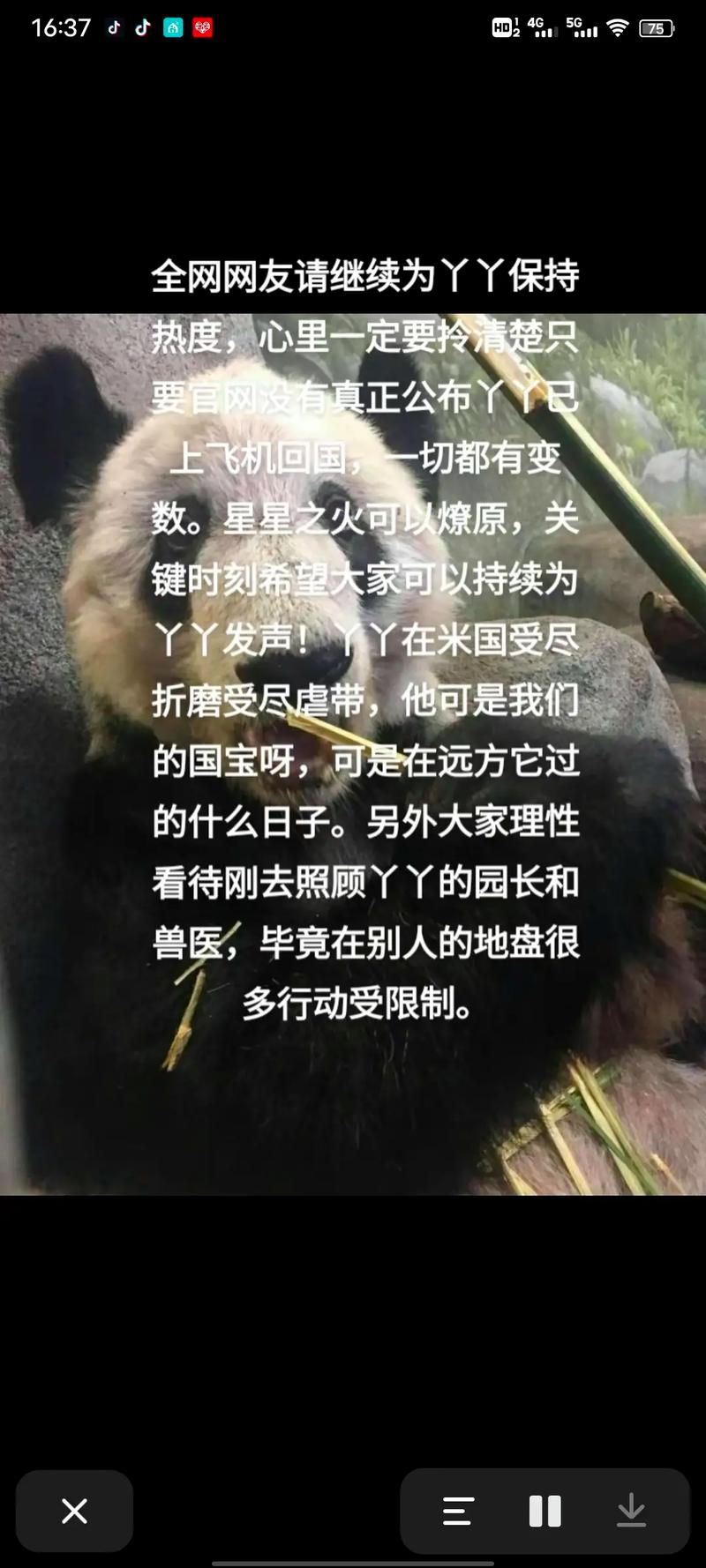 “丫丫”平安回到北京动物园,需静养