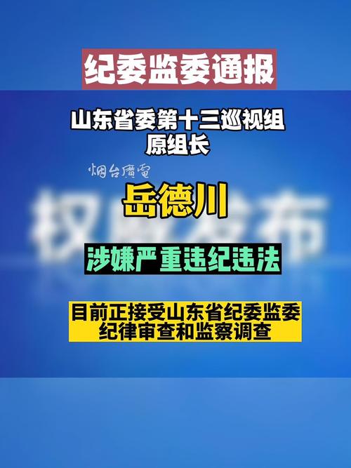 山东省委第十三巡视组原组长岳德川被开除党籍