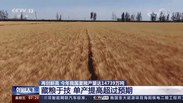 全国夏粮已收96.2%,夏播粮食已播83.1%