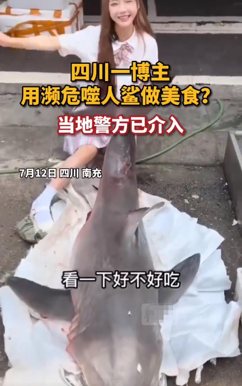 网红用濒危大白鲨做美食?警方回应