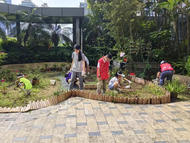 居民参与设计!海淀这个社区开展“共建花园”活动
