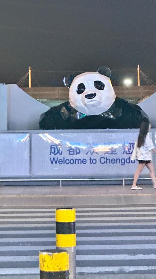 成都市民上班路上偶遇熊猫