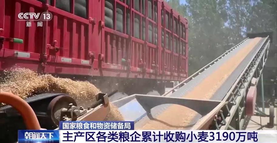 如何保障夏粮收购平稳开展?各地这样做