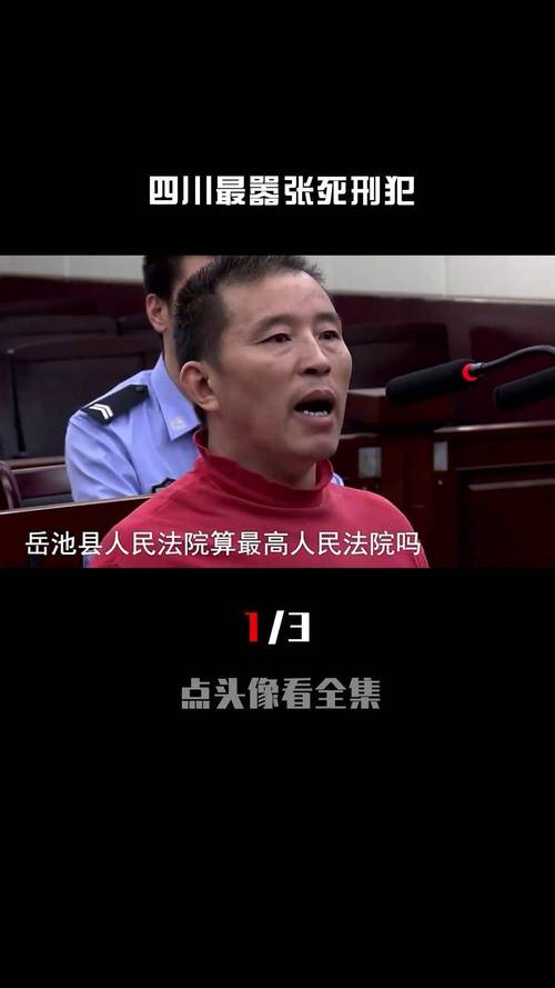 四川阿坝一恶势力头目被依法执行死刑