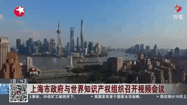 上海市政府与世界知识产权组织在沪签署《关于加强在知识产权领域交流与合作的谅解备忘录》