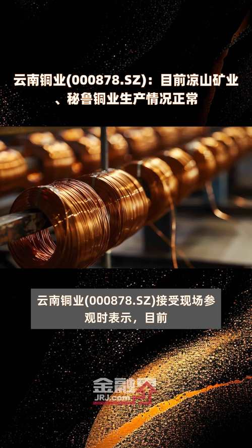 云南铜业（000878）3月20日主力资金净流出1200.88万元
