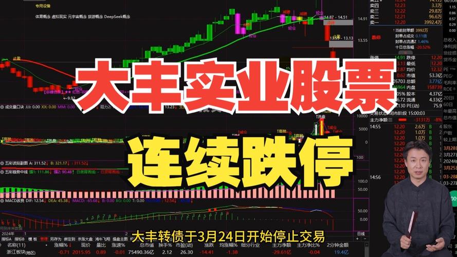 大丰实业(603081.SH):与智元机器人签订战略合作协议