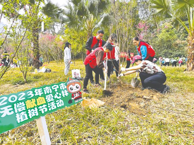2025年南宁市无偿献血爱心林植树公益活动举行