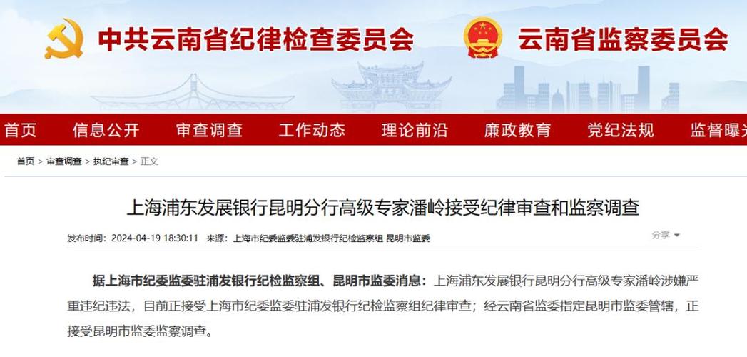上海浦东发展银行昆明分行高级专家潘岭接受审查调查