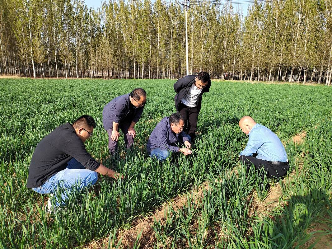 农业农村部:去年底全国能繁母猪存栏量略高于产能调控绿色合理区域上限