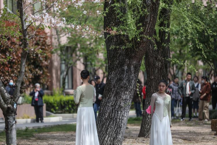 一场实景微舞剧在上海师大校园上演,将走向街头、公园、社区