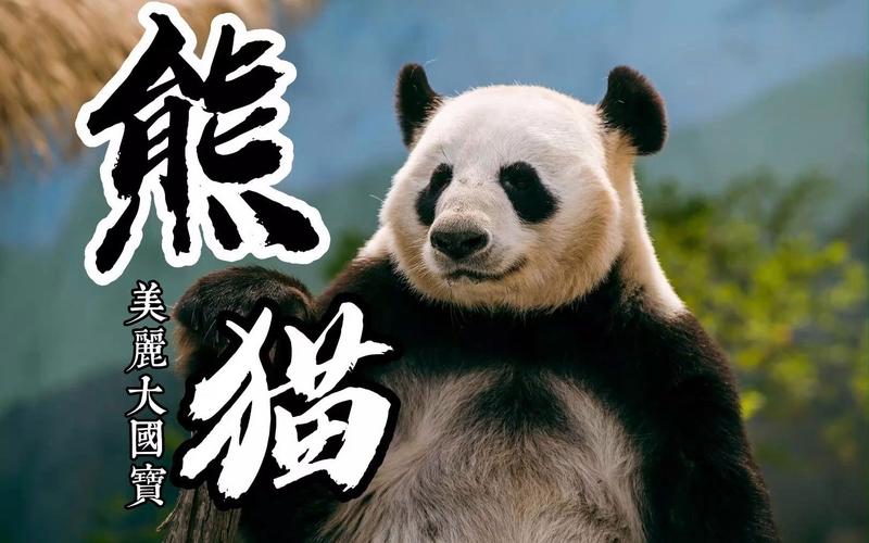 共同的珍宝——大熊猫见证中法友谊长青