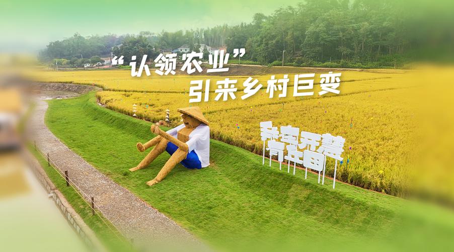 新疆阿瓦提县:推动设施农业发展 让农户搭上“致富快车”